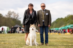 Wystawa Sami Uniejów CACIB 9.05.2026